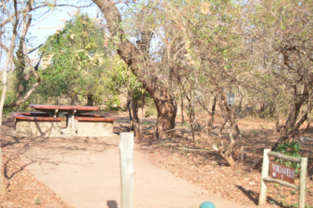 Copacopa Lodge And Conference Centre Punda Maria Eksteriør billede